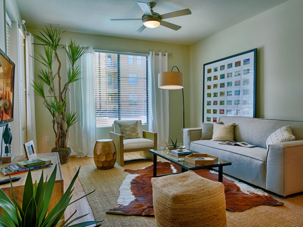 Elan by Greystar | AZ